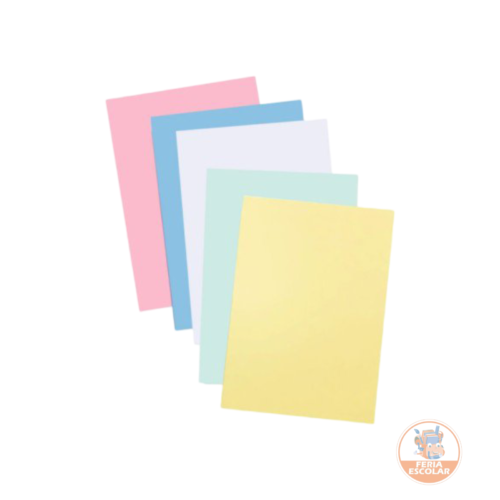 cartulina bristol pliego