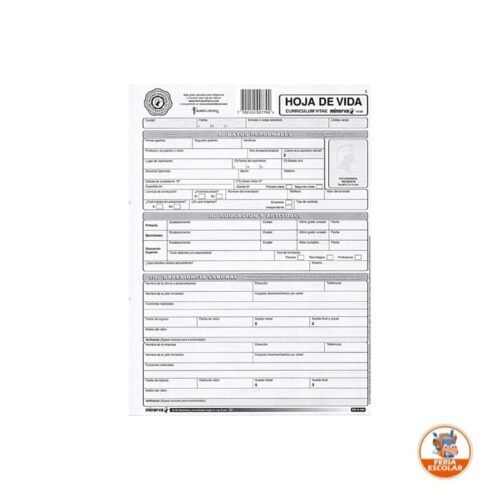 hoja de vida 1000